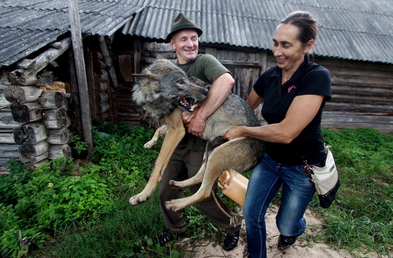 http://m.richardvana.com/uploadfile/2014/0819/20140819042419538.jpg
