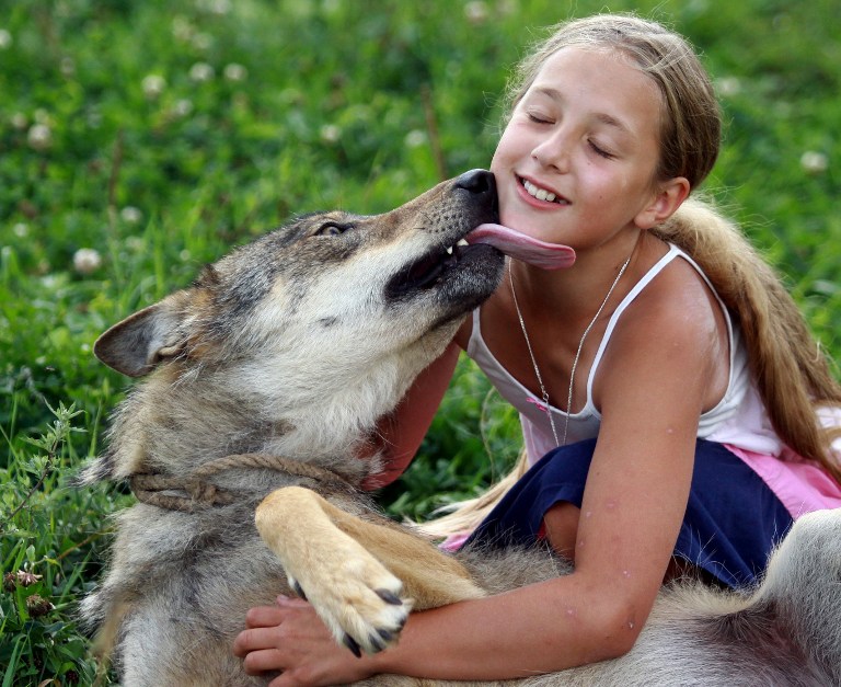 http://m.richardvana.com/uploadfile/2014/0819/20140819042828648.jpg
