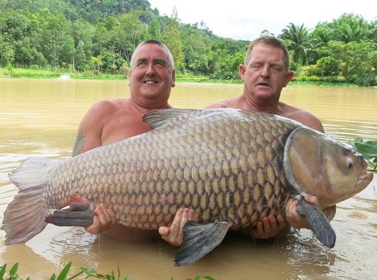 http://m.richardvana.com/uploadfile/2014/0821/20140821040628504.jpg