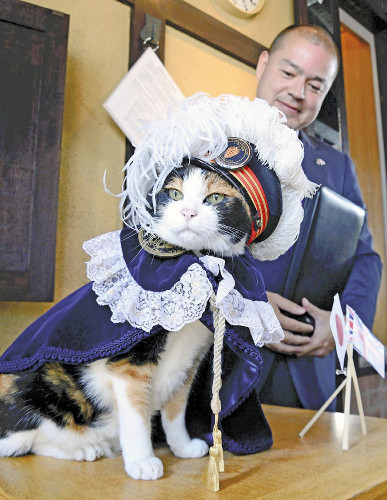 http://m.richardvana.com/uploadfile/2014/0903/20140903041907441.jpg