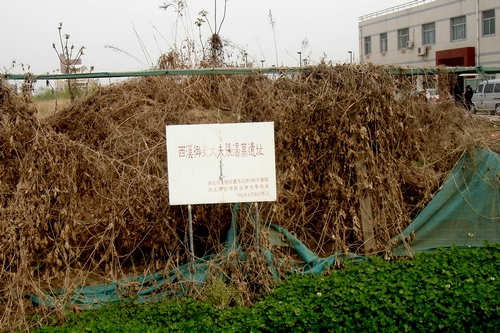 http://m.richardvana.com/uploadfile/2014/0910/20140910113709853.jpg