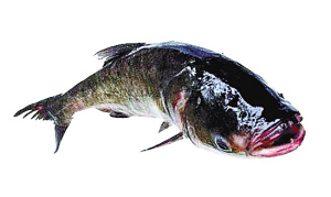 http://m.richardvana.com/uploadfile/2014/0922/20140922102154163.jpg