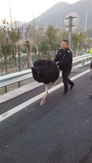 http://m.richardvana.com/uploadfile/2014/1223/20141223100232540.jpg