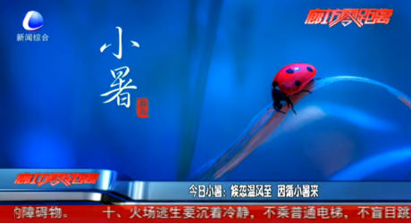 今日小暑：倏忽溫風至 因循小暑來