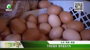 不同蛋類(lèi) 營(yíng)養(yǎng)差別大嗎