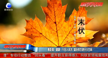 零距離健康：今日入末伏 做好養(yǎng)生秋冬少生病