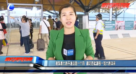 港珠澳大橋開通運(yùn)營一個(gè)月 廊坊首批游客一覽大橋風(fēng)采