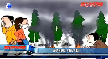 清明節(jié)掃墓祭祖 護林防火不能忘