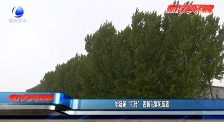 給楊樹“打針” 控制飛絮見成效