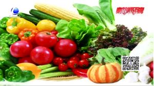 夏至后每日睡“子午覺(jué)” 黃昏運(yùn)動(dòng)最理想