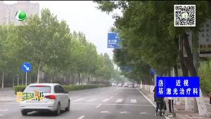 樹(shù)木茂盛遮擋路牌 園林積極剪出清晰視線(xiàn)