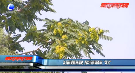 本周前期清熱暴曬 周中或有降雨來“降火”