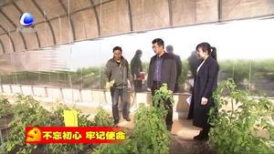 香河縣開展農(nóng)技服務促進農(nóng)業(yè)增效