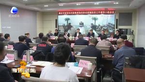 我市召開新型冠狀病毒感染的肺炎疫情防控工作領(lǐng)導小組會議