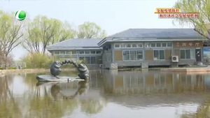 第51個(gè)世界地球日：讓我們用實(shí)際行動(dòng)告白地球