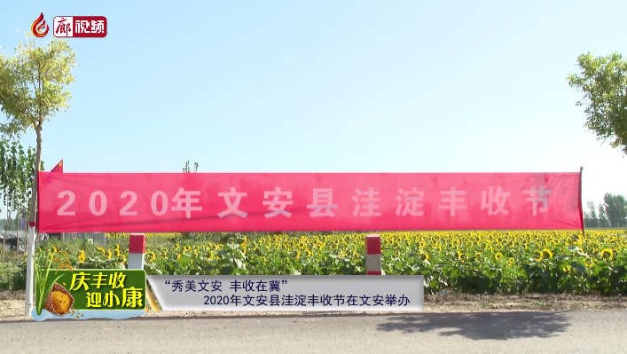  廊視頻 | “慶豐收迎小康”——“秀美文安，豐收在冀”2020年文安縣洼淀豐