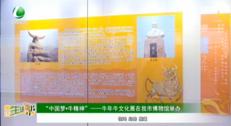 “中國夢·牛精神”——牛年牛文化展在我市博物館舉辦