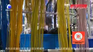 【惠民生】三河市廊坊萊尼：生產滿負荷 穩(wěn)崗保就業(yè)