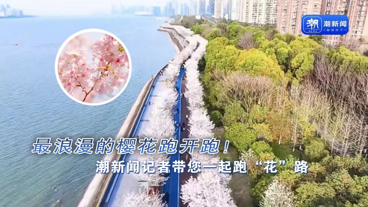 最浪漫的櫻花跑開跑！潮新聞記者帶您一起跑“花”路