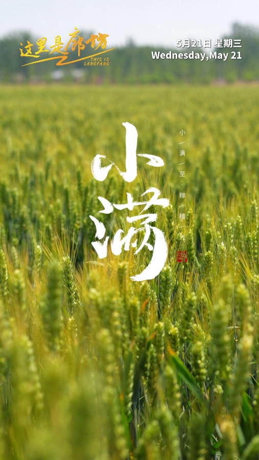 【這里是廊坊】小滿