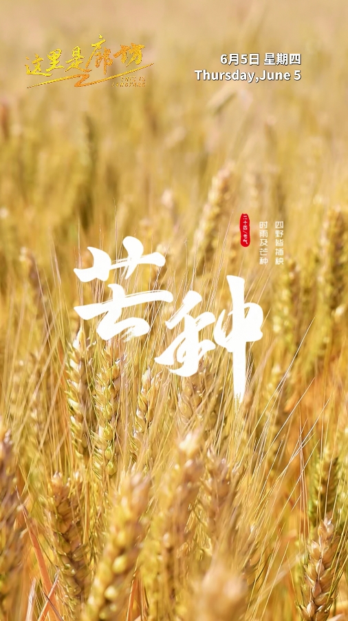 【這里是廊坊】芒種