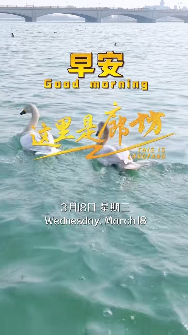 【這里是廊坊】天氣漸暖，遷徙的候鳥跨越山海，只為趕赴這場與廊坊的春之約。