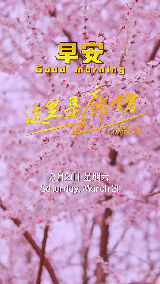 【這里是廊坊】灼灼桃花三千里 不負春光不負卿