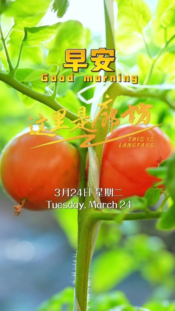 【這里是廊坊】一株株新綠，承載著豐收的希望。當枝頭悄然掛上第一抹紅，那是生命對汗水的回應。