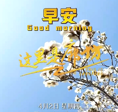 【這里是廊坊】紅墻黛瓦間，是歲月的沉淀；湖光花色里，是生活的鮮活?？匆粓龌ㄩ_，聽一曲風吟，在古韻與芬芳中，找回內(nèi)心的寧靜與美好。